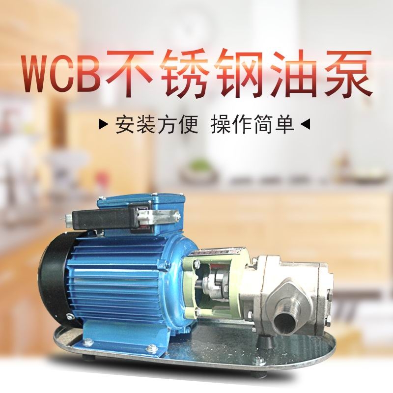 1寸不銹鋼油泵手提電動式抽油泵WCB30