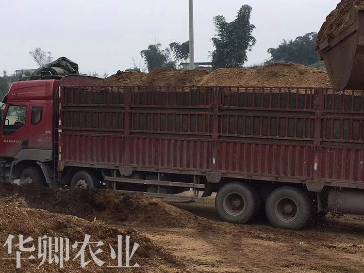 云陽蘭花營養(yǎng)土廠家