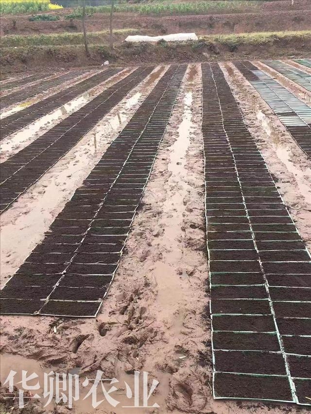 今日資訊-永川生物有機肥哪里能買