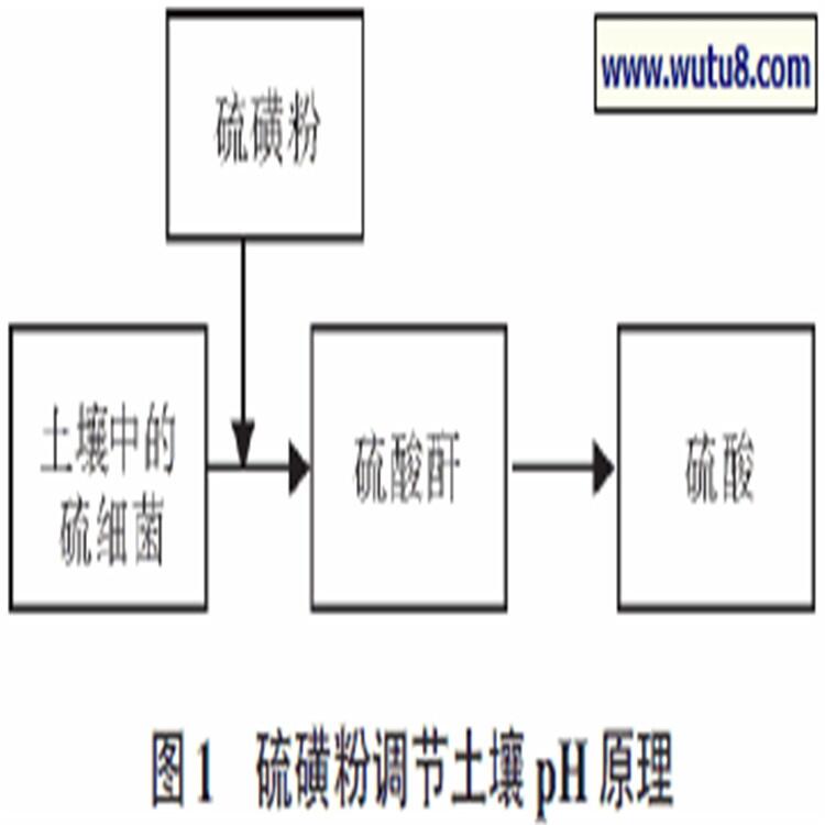 長(zhǎng)期供應(yīng)土壤改良調(diào)節(jié)劑硫磺粉規(guī)格齊全 歡迎選購(gòu)