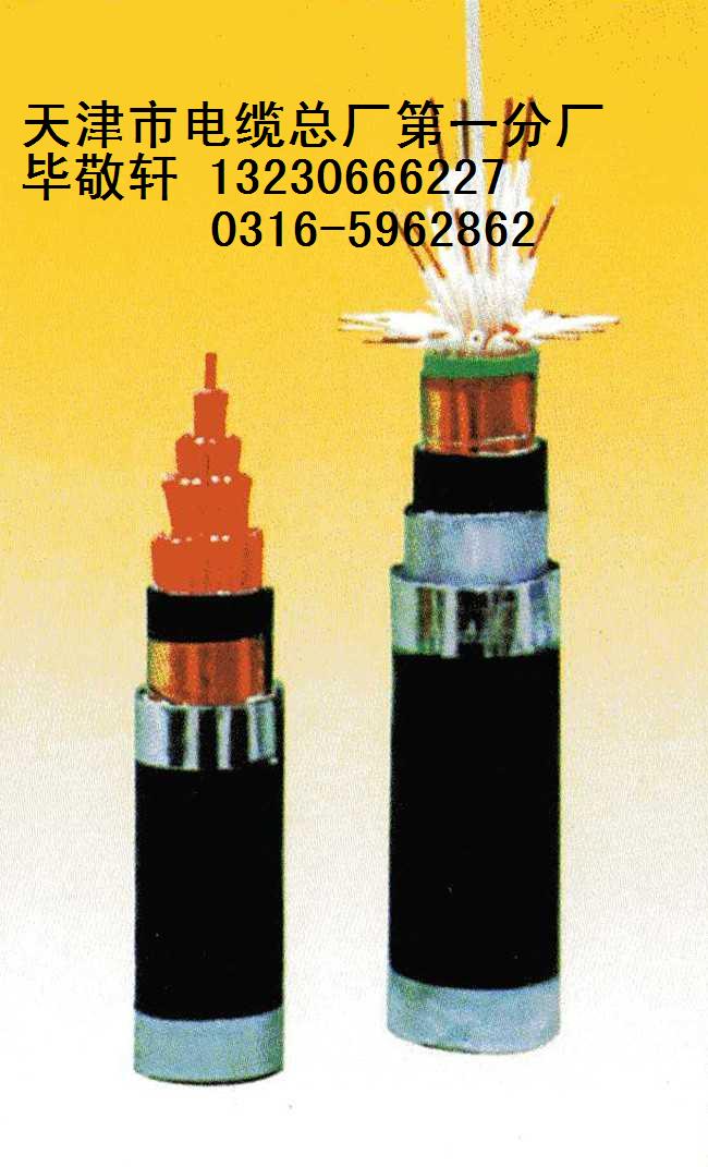 PTYA23信號(hào)電纜