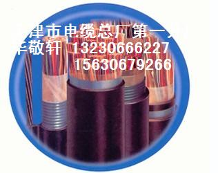 供應(yīng)1對(duì);2對(duì);5對(duì);10對(duì);20對(duì);30對(duì)礦用通信電纜;礦