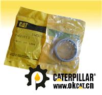 (yng)CAT-R_(d)7C3372