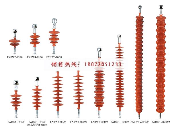 【鵬高生產(chǎn)】FXBW4-110/100，F(xiàn)XBW4-110/100