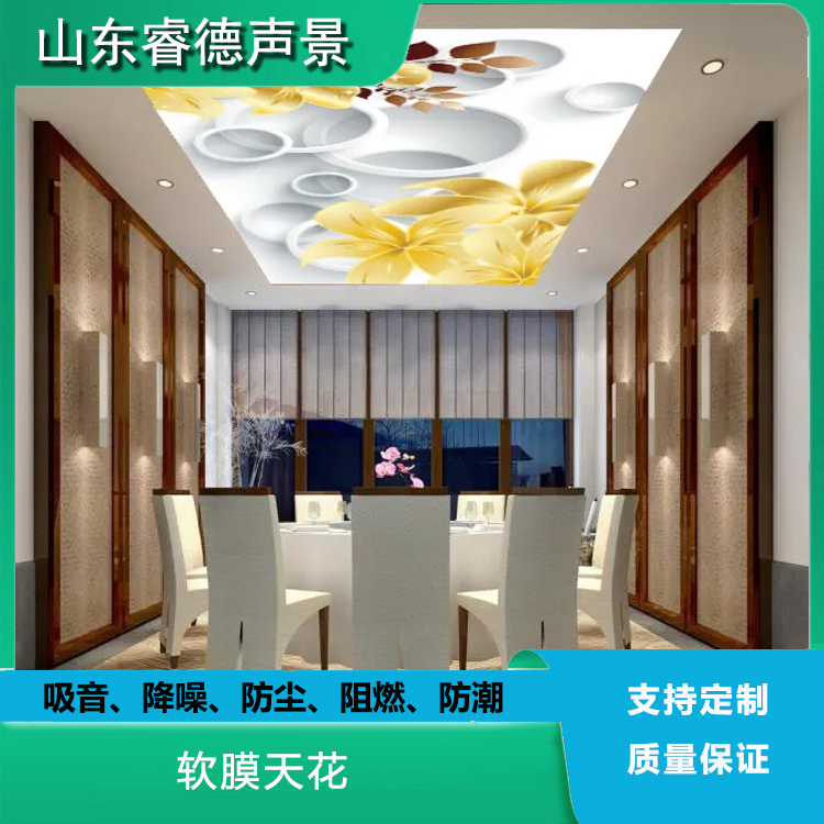 rayde A級(jí)防火膜 軟膜天花星空吊頂安裝便捷 防水吸音降噪 規(guī)格齊全
