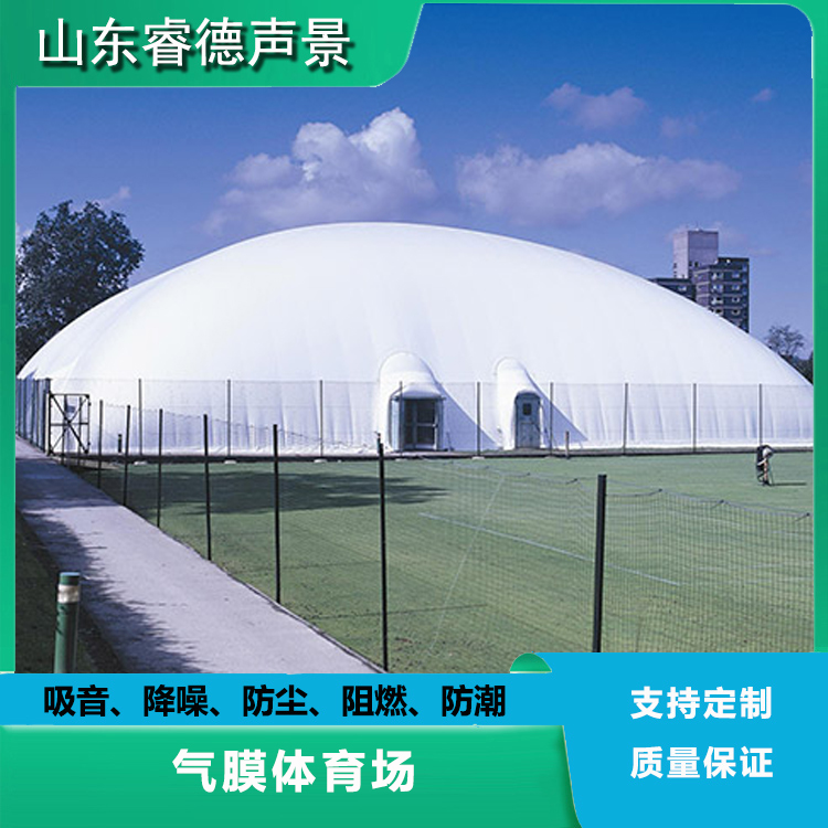 rayde 氣膜體育場用膜 柔性軟膜材料 支持定制 防水防潮隔音