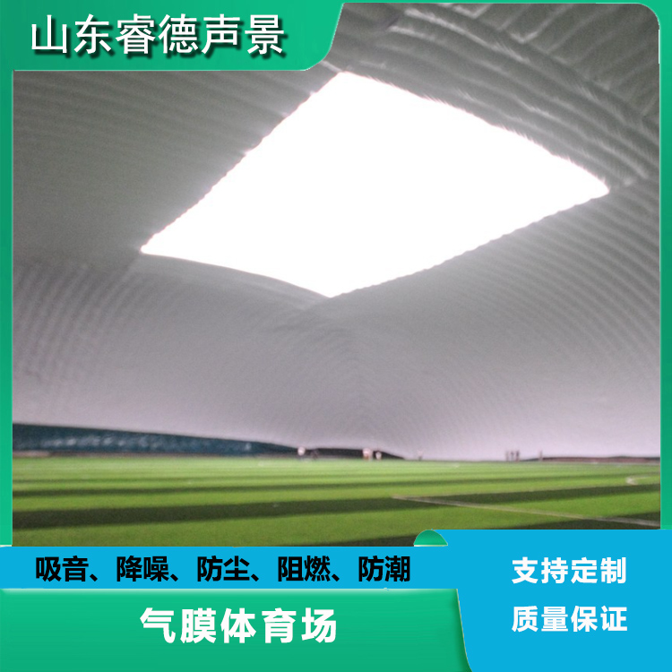 rayde 汽車展廳軟膜天花 透光膜加工廠 商業(yè)辦公樓防火吸音降噪吊頂