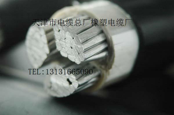 精品電纜 阻燃電纜規(guī)格 100%值得信賴(lài)