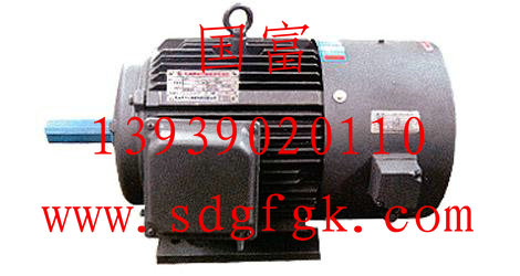 YVP-160L-4變頻調(diào)速電動(dòng)機(jī)  YVP-200L-4變頻調(diào)速電動(dòng)機(jī)