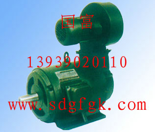 YLJ112-10/4三相異步力矩電動(dòng)機(jī) YLJ132-25/4力矩電動(dòng)機(jī)