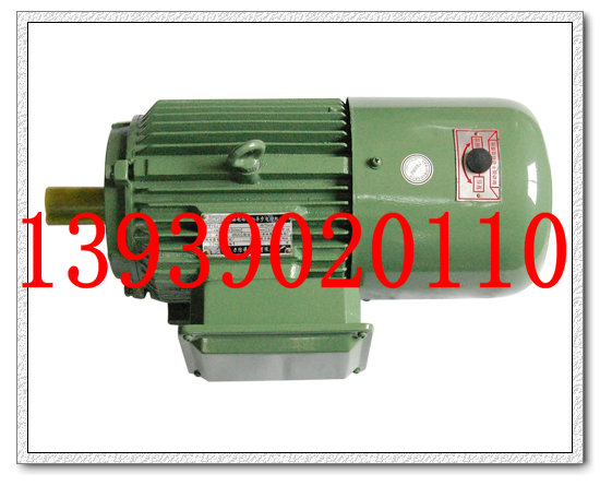 YEJ100L1-4電磁制動(dòng)電動(dòng)機(jī)  YEJ100L2-4電磁制動(dòng)電動(dòng)機(jī)