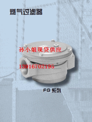 代理批發(fā)意萊克斯FG系列燃燒過(guò)濾器