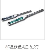 AC型預(yù)置式扭力扳手