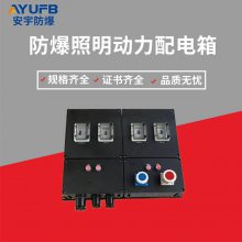 三防檢修箱 FXMD-S-4/K63 IP65 WF2工程塑料