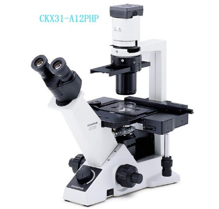 奧林巴斯顯微鏡CKX31倒置顯微鏡