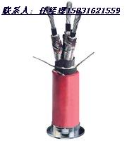 暢銷(xiāo)】jhs電纜價(jià)格VV電纜價(jià)格YJV電纜價(jià)格JHS電纜價(jià)格(圖)