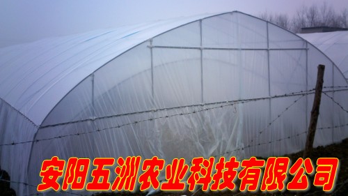 大棚骨架價格 加工大棚建設(shè) 溫室大棚骨架