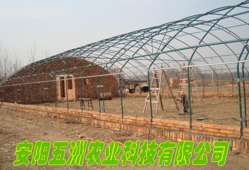 熱鍍鋅鋼管大棚 鋼架大棚 鋼管溫室大棚 建設鋼管大棚廠