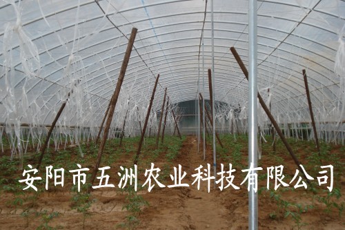 復(fù)合材料大棚骨架拱棚 新型鋼管鍍塑大棚骨架機(jī) 安陽五洲