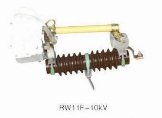 【軒泰服務(wù)】RW11-10/100A跌落式熔斷器