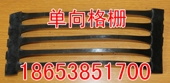 ——酒泉土工格柵，……酒泉土工格柵，【酒泉+++酒泉土工格柵】