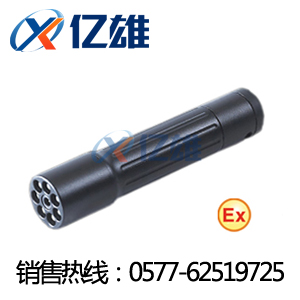 JW7300 ·品質(zhì)至上《JW7300》微型防爆電筒JW7300