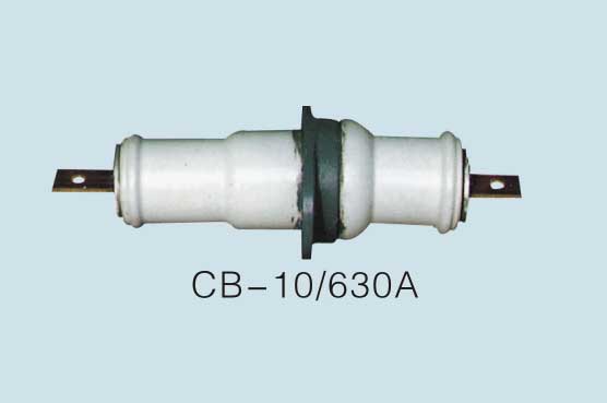 廠家CC-10、CWC-10/2000A穿墻套管《自產(chǎn)自銷》