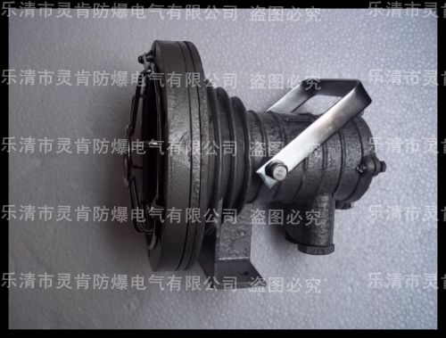 DGY20/127L，礦用投光燈，DGY礦用投光燈，20W礦用投光燈，投光燈