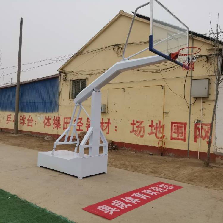 成人籃球架戶外標(biāo)準(zhǔn)可移動家用室外訓(xùn)練比賽落地式學(xué)?；@球框