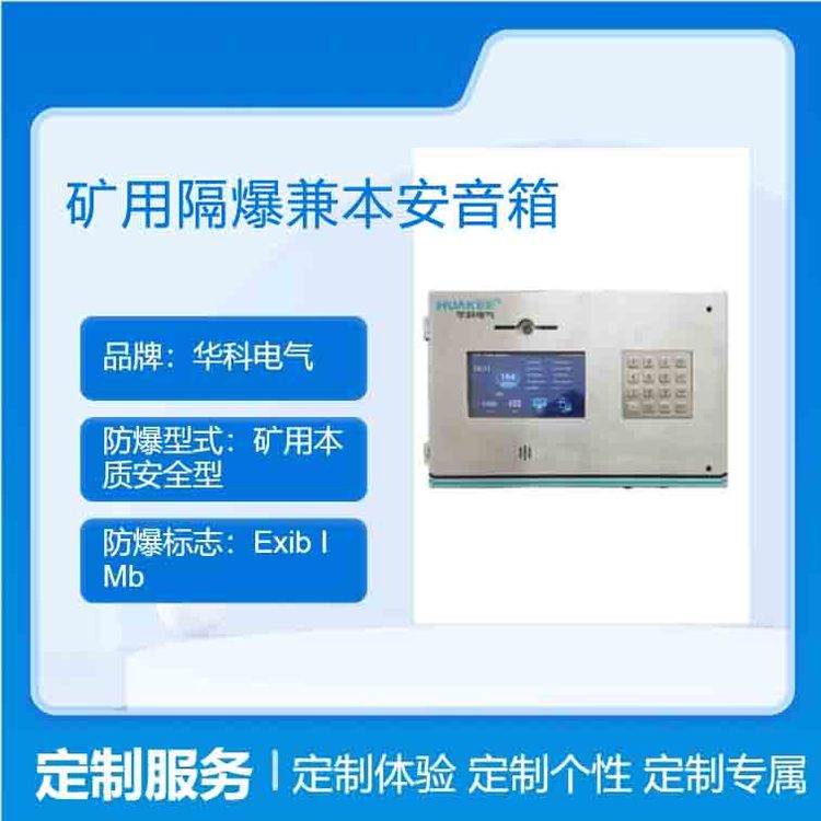礦用隔爆兼本安音箱聲音覆蓋距離長采用雙側揚聲器設計