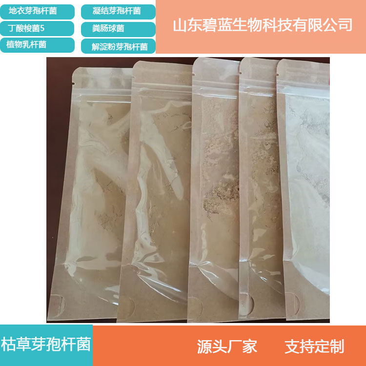 枯草芽孢桿菌灌根使用葉面噴施做底肥使用碧藍(lán)生物有機(jī)肥料