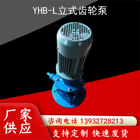 YHB-L立式齒輪泵鼓風(fēng)機(jī)稀油站潤(rùn)滑油泵船舶燃油泵