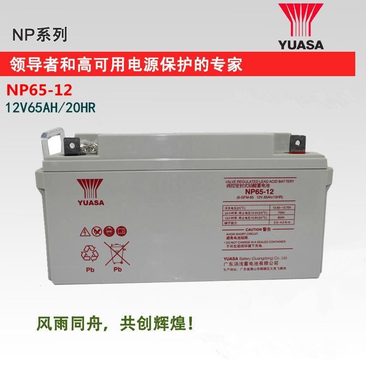 湯淺閥控式蓄電池NP210-12鉛酸12V210AH通信機(jī)房UPS\/EPS電源