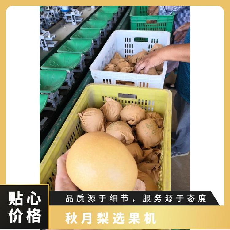 果蔬加工廠設(shè)備,冷凍食品廠休閑秋月梨選果機(jī)