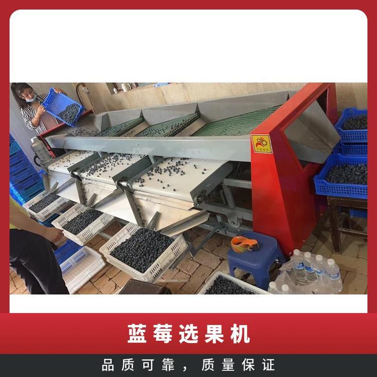 產(chǎn)品用途廣型號LMXGJ-2凈重500kg藍莓選果機，果園用分選機