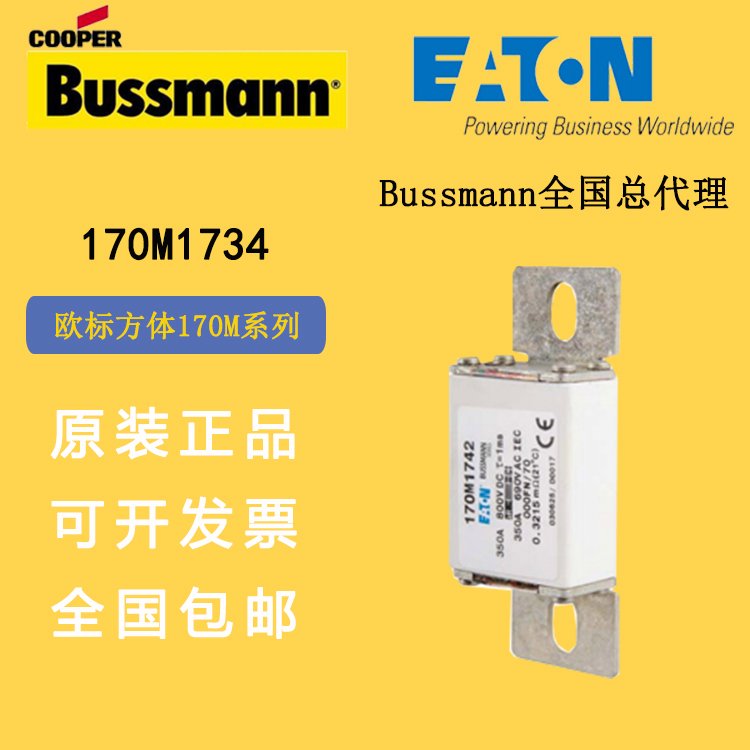 170M1734bussmann進(jìn)口熔斷器bussman熔斷充電樁，儲能直流用