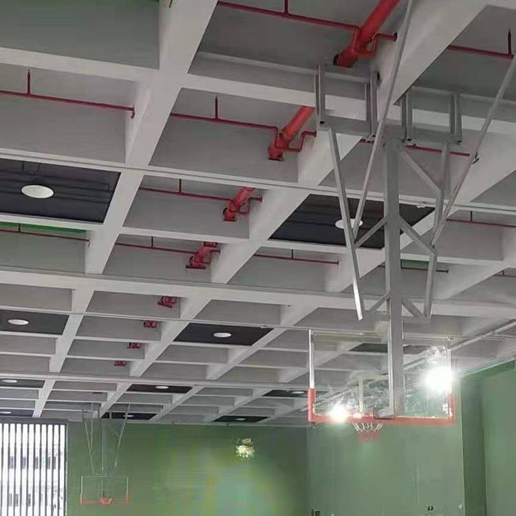 電動(dòng)伸縮鋼絲懸掛籃球架適用中小學(xué)體育場(chǎng)館籃球培訓(xùn)基地泰昌定制