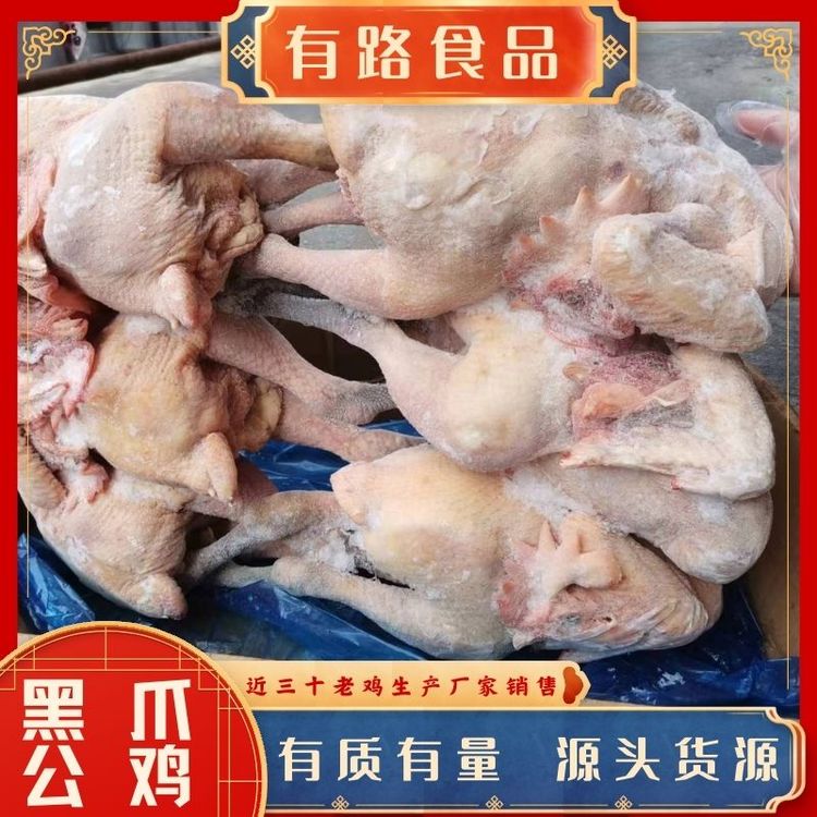 黑爪公雞廠家貨源有路食品老母雞生產(chǎn)供應國內(nèi)雞肉深加工餐飲連鎖