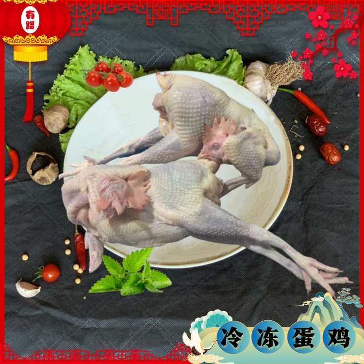 銷售白條雞6只到14只_有路食品_老母雞_工廠自營(yíng)源產(chǎn)貨源