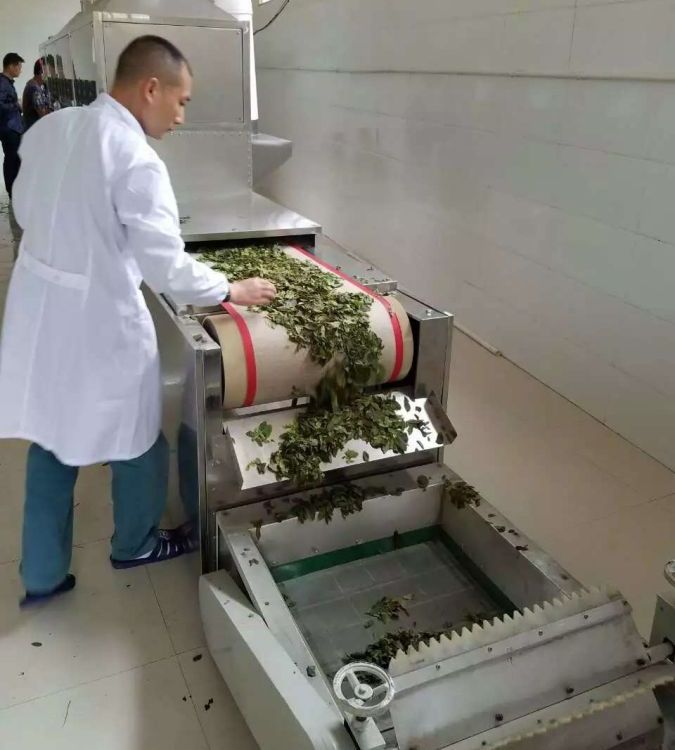 齊協(xié)茶葉微波殺青機(jī)型號：QX-20HM3可以用于毛尖、綠茶的連續(xù)殺青