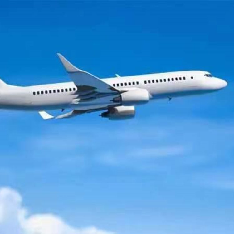 萊萬特國際航空全球空運(yùn)代收貨款做工精細(xì)有口皆碑