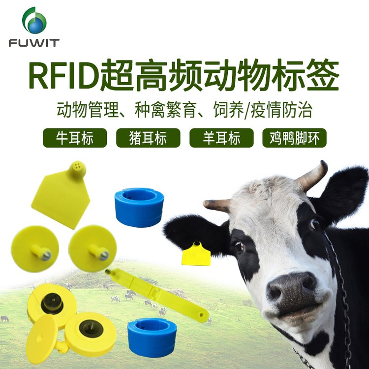 豬牛羊養(yǎng)殖溯源rfid動物耳標(biāo)動物管理追蹤超高頻RFID標(biāo)簽