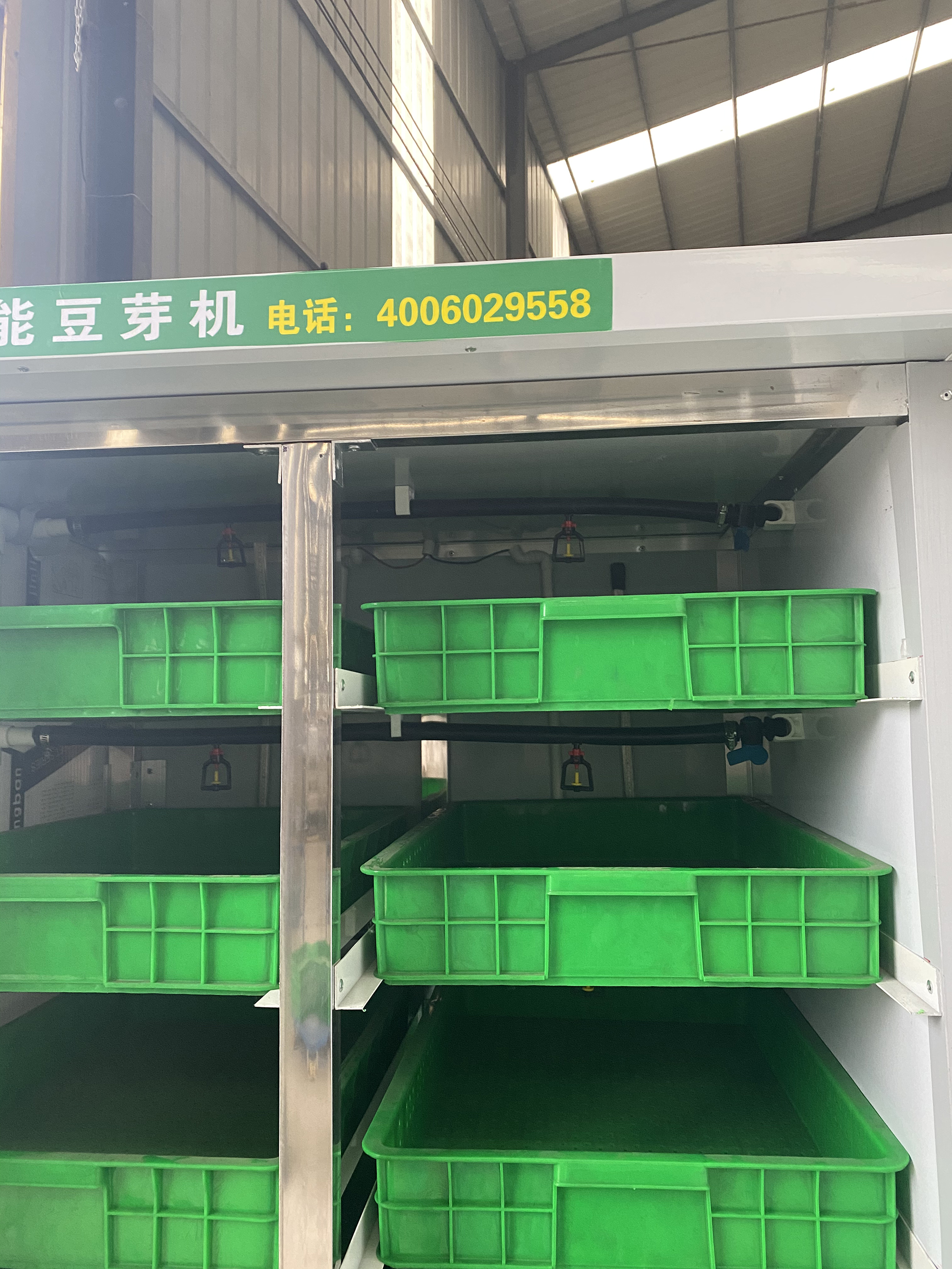 洛陽(yáng)永順利框式豆芽機(jī)小型日產(chǎn)100斤豆芽提供技術(shù)指導(dǎo)