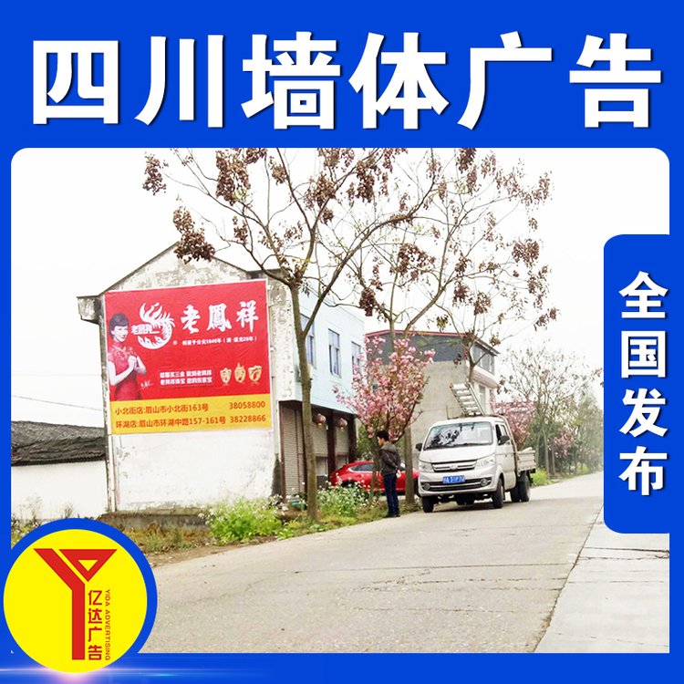 內(nèi)江隆昌市農(nóng)村墻面寫大字戶外刷墻廣告墻體標語