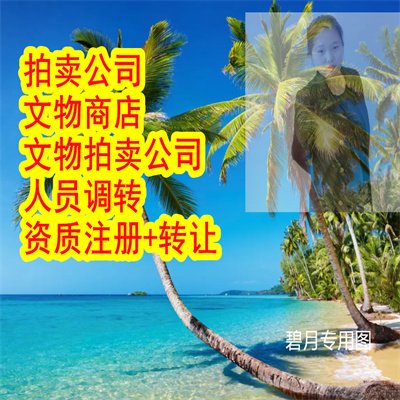 北京文物商店公司注冊(cè)辦法沒有專家怎么辦,文物拍賣公司注冊(cè)