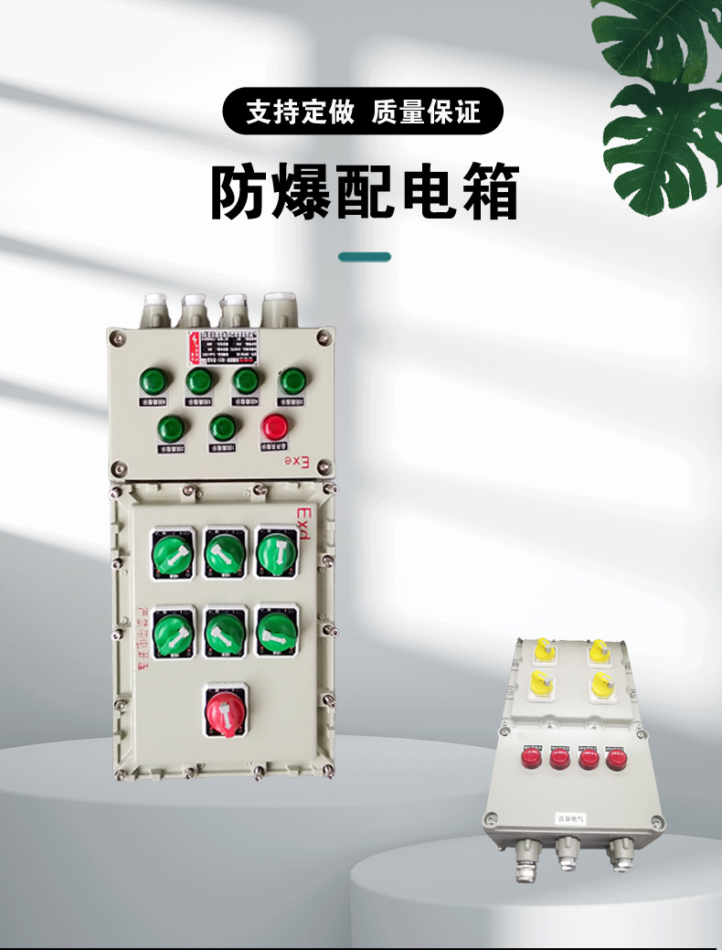 言泉防爆磁力啟動器配電箱防水防腐220V380V電機風機水泵開關(guān)箱