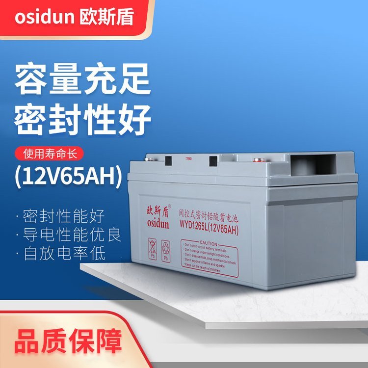 歐斯盾閥控式鉛酸免維護(hù)蓄電池UPS電池WYD1265L12V65AH