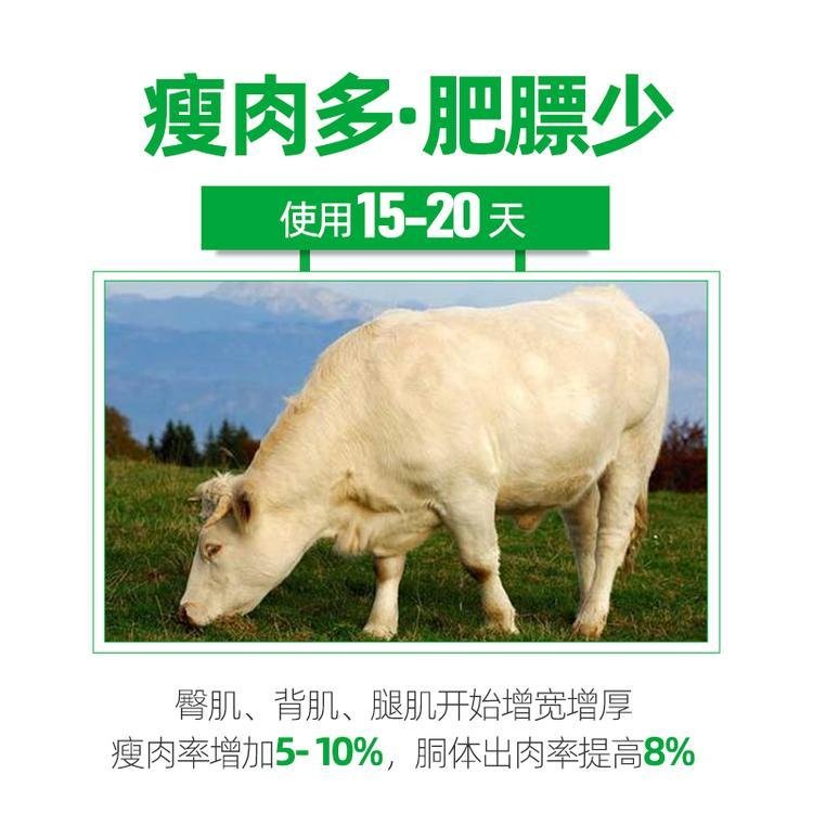 科學(xué)飼養(yǎng)管理:牛羊催肥增重包膜胍基乙酸塑型增重