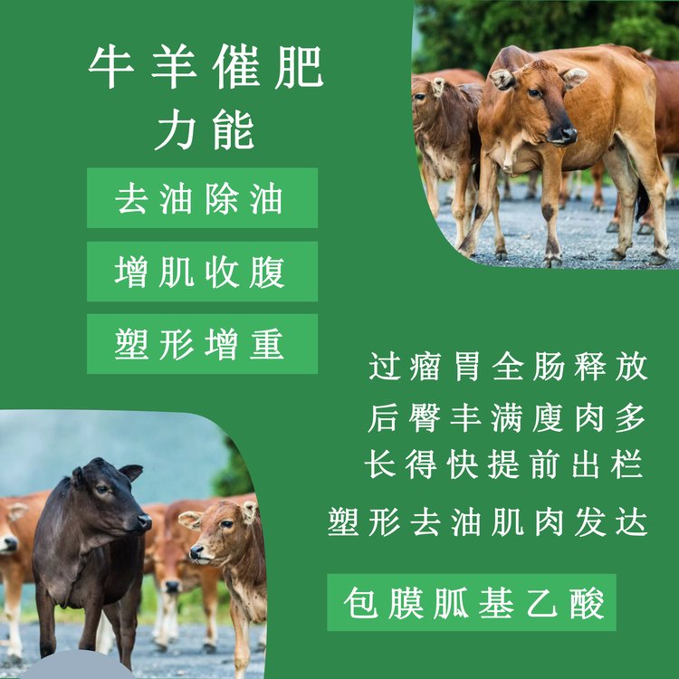 牛羊催肥小料牛羊飼料去油除油塑形長瘦肉飼料添加劑