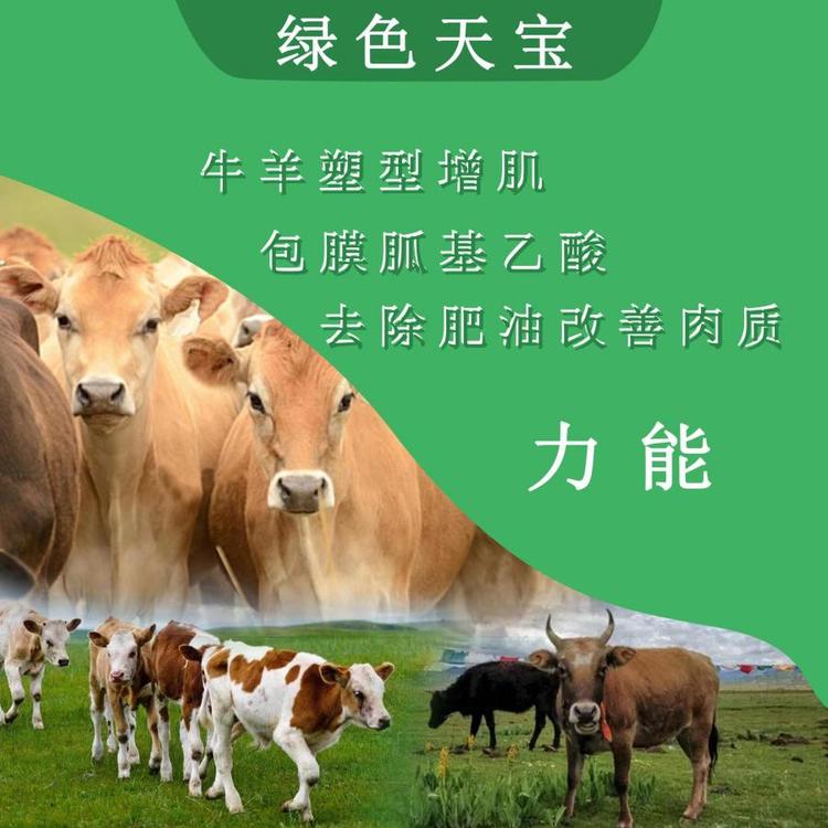 胍基乙酸好瘦肉率飼料級營養(yǎng)強(qiáng)化劑牛羊養(yǎng)殖